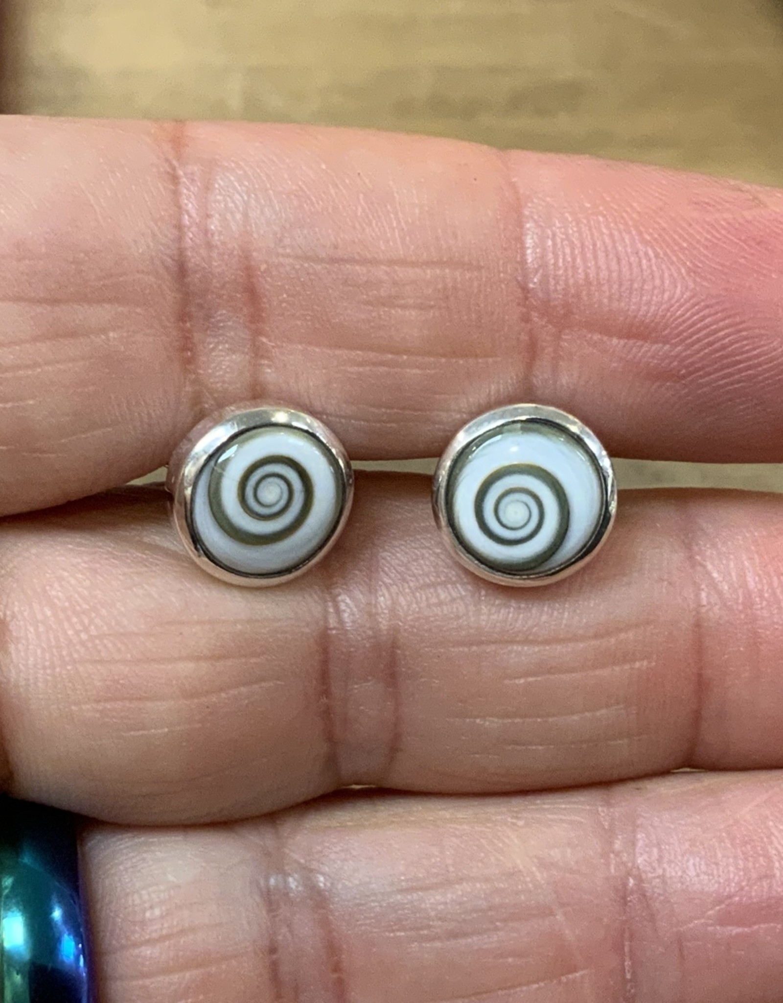 Nautilus Shell Spiral Stud Earrings