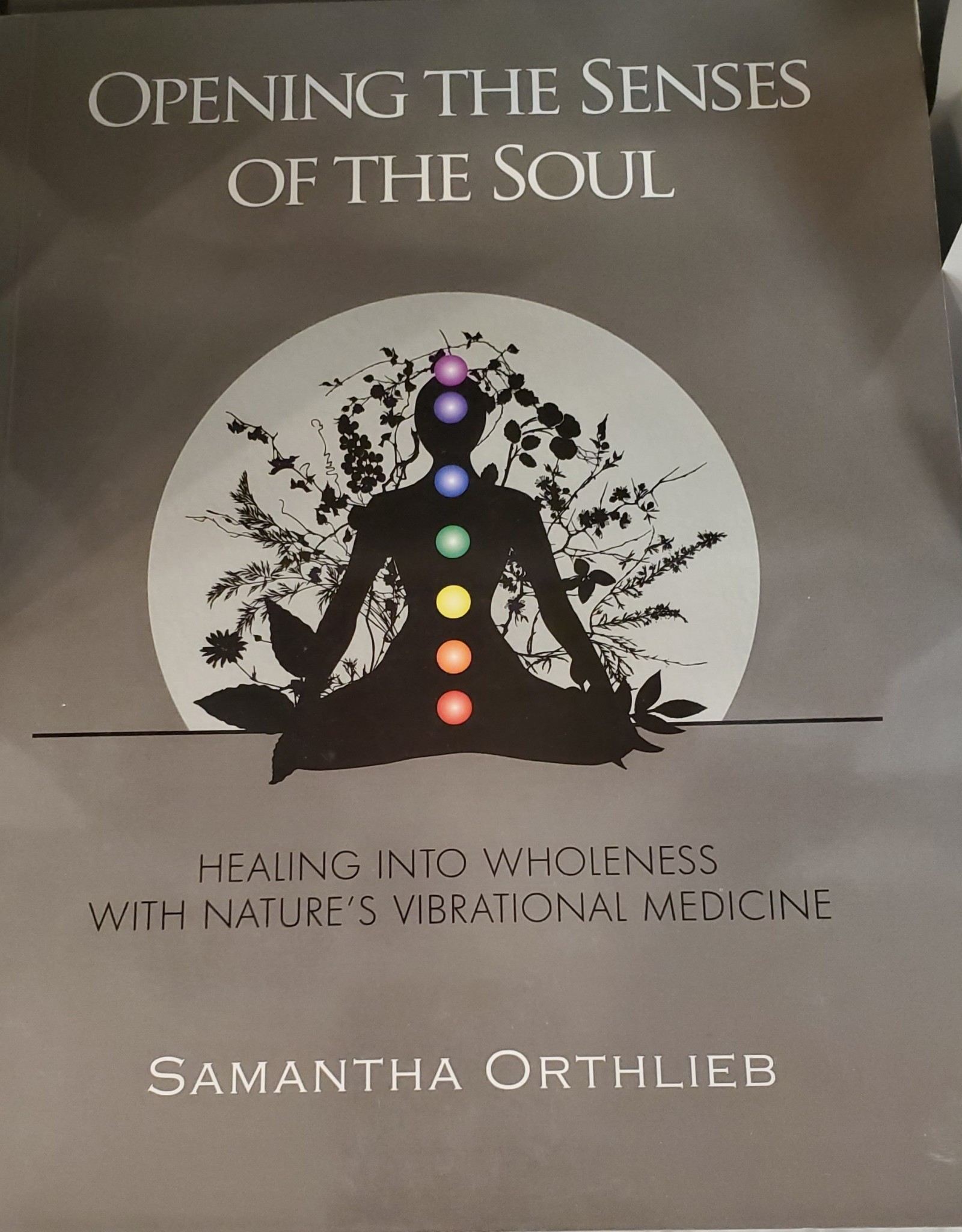 Senses of the Soul Paperback Book