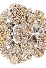 Desert Rose Tumbled Stone - Larger Desert Rose Tumbled Stone - Larger