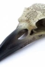 Omega Raven Skull