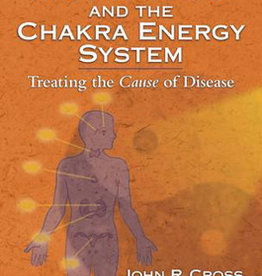 ACUPUNCTURE & CHAKRA ENERGY SYSTEM