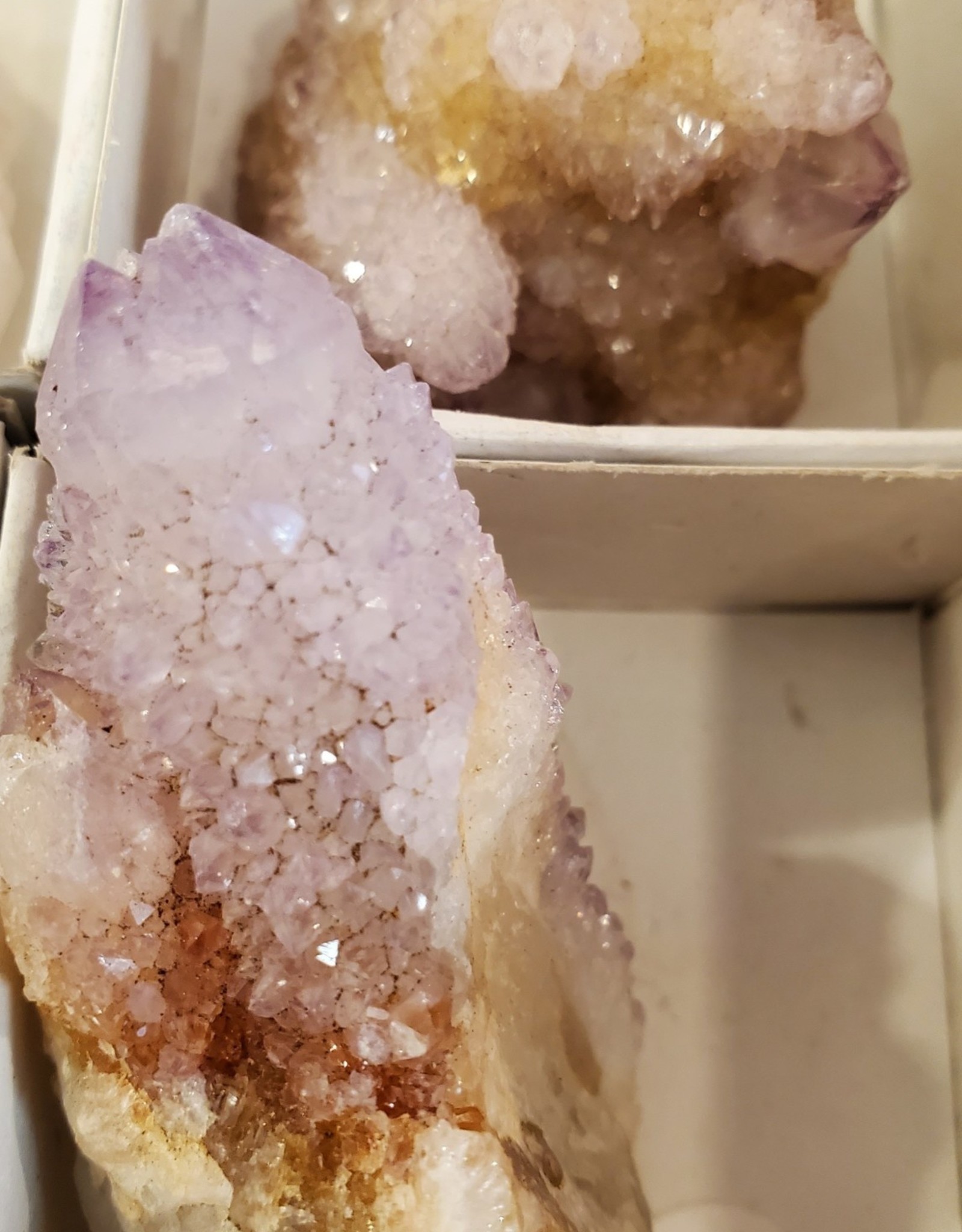 Spirit Cactus Quartz