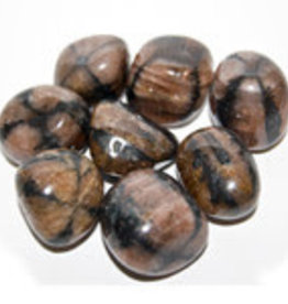 Tumbled Stone - Chiastolite