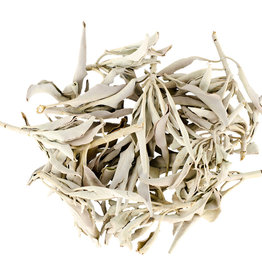 SMUDGING-CALIFORNIA WHITE SAGE/CLUSTERS(1 LB)
