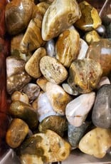 Ocean Jasper (Orbicular) Tumbled