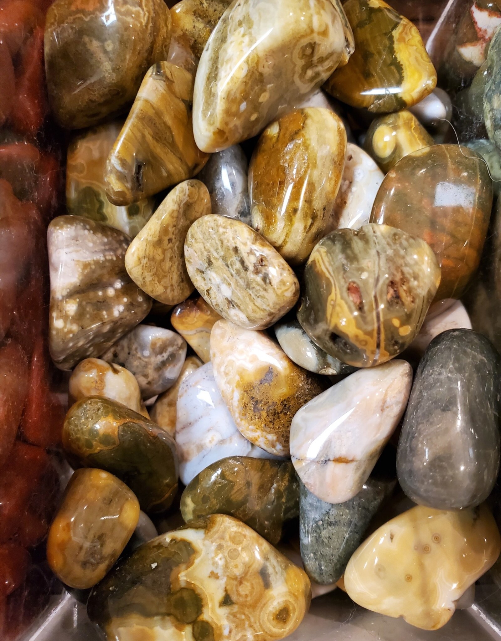 Ocean Jasper (Orbicular) Tumbled