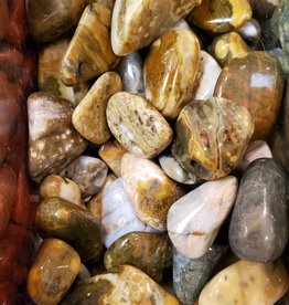 Ocean Jasper (Orbicular) Tumbled