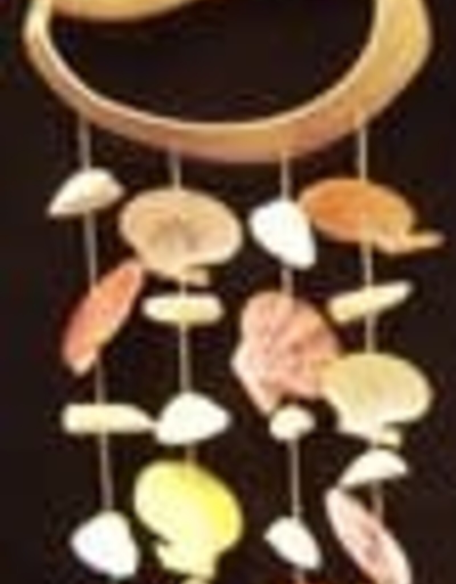 SHELL CHIME - NATURAL