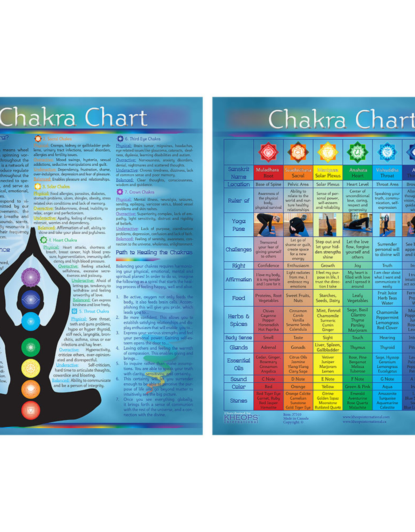 Chakra Laminated Chart 8.5"x11"