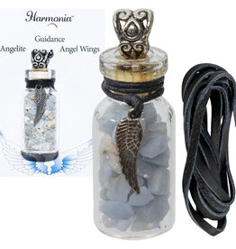 NECKLACE - STONE CHIPS BOTTLE - ANGELITE & ANGEL WING-20. 5" L