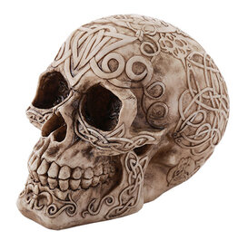 Celtic Skull