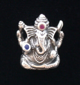 Pendant Ganesha w/ 2mm Ruby & Sapphire SS