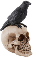Raven Skull