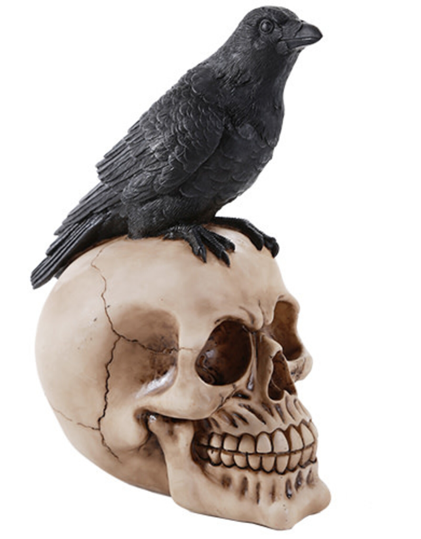 Raven Skull