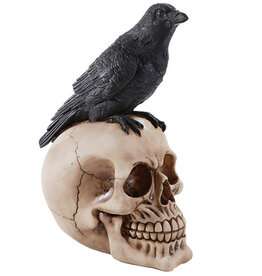 Raven Skull Raven Skull