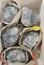 Celestite Mini Cluster