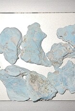 Turquoise - Real TS