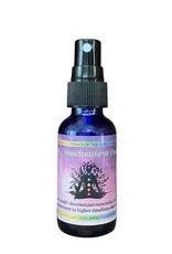 Cosmic Consciousness Connector Spray