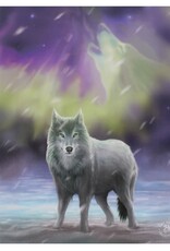 Aurora Canvas Print 7.5 X 9.8