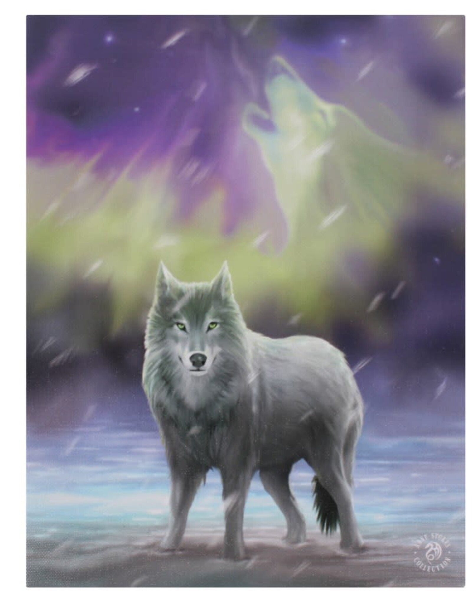 Aurora Canvas Print 7.5 X 9.8