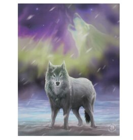 Aurora Canvas Print 7.5 X 9.8