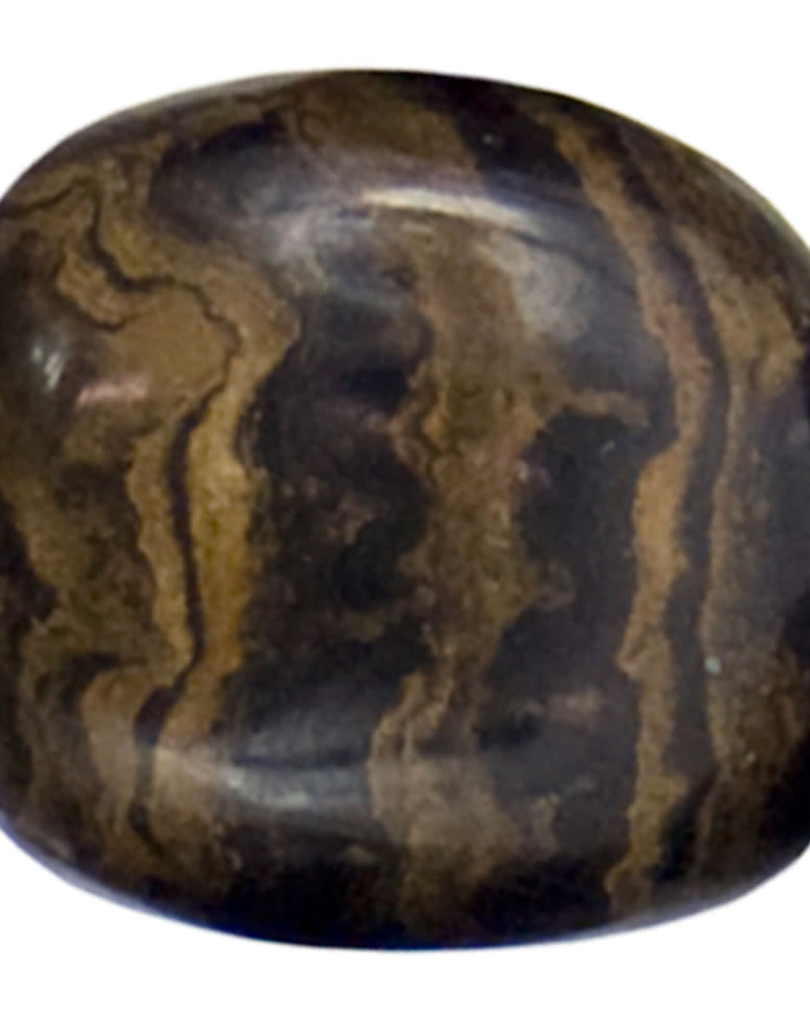 STROMATOLITE-TUMBLED STONE