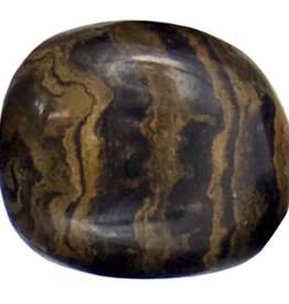 STROMATOLITE-TUMBLED STONE