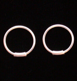 Earring Wire Hoop W/Spring 12Mm SS