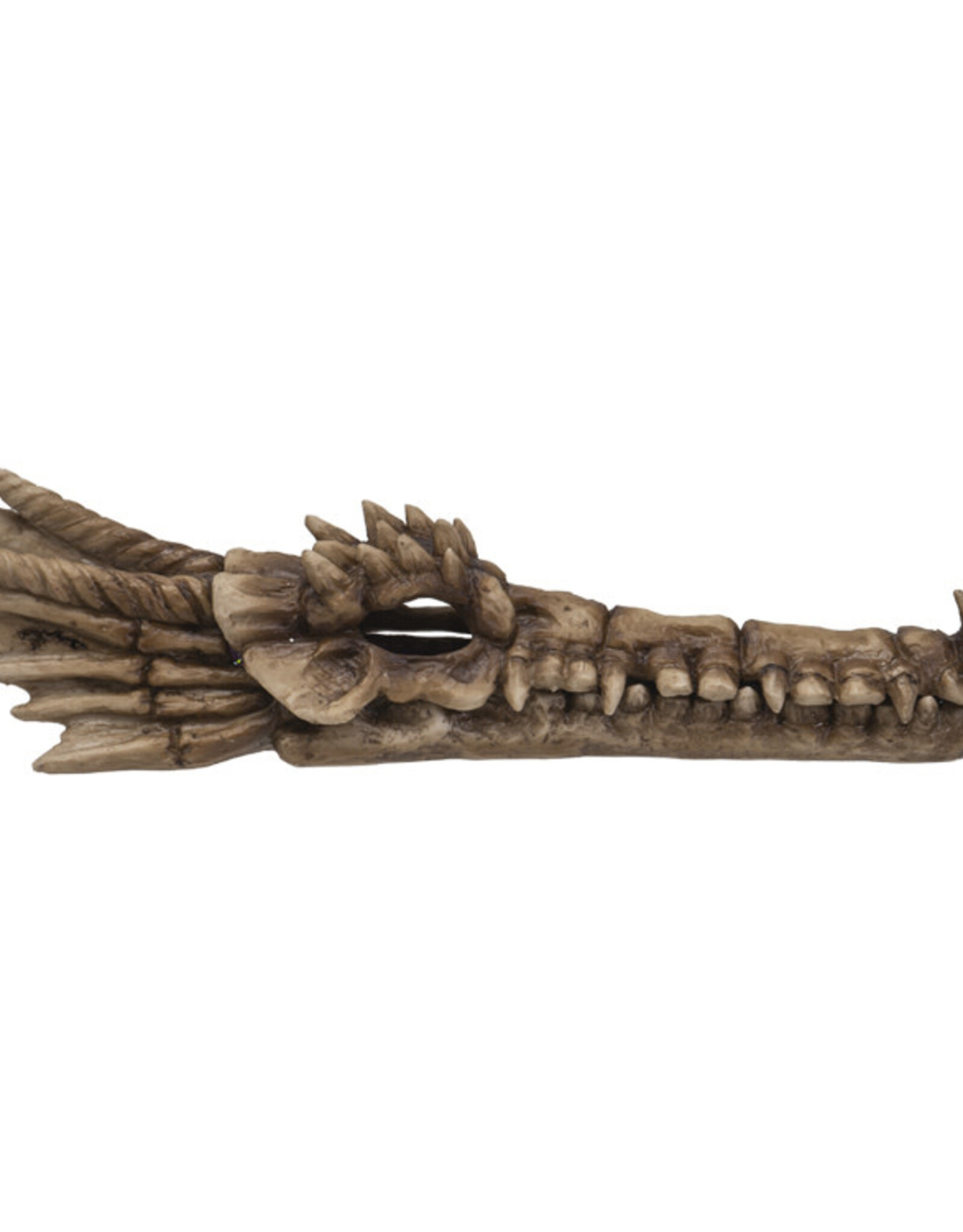 Incense Holder Dragon Skull 10.82" X 2.44" X 2.36"