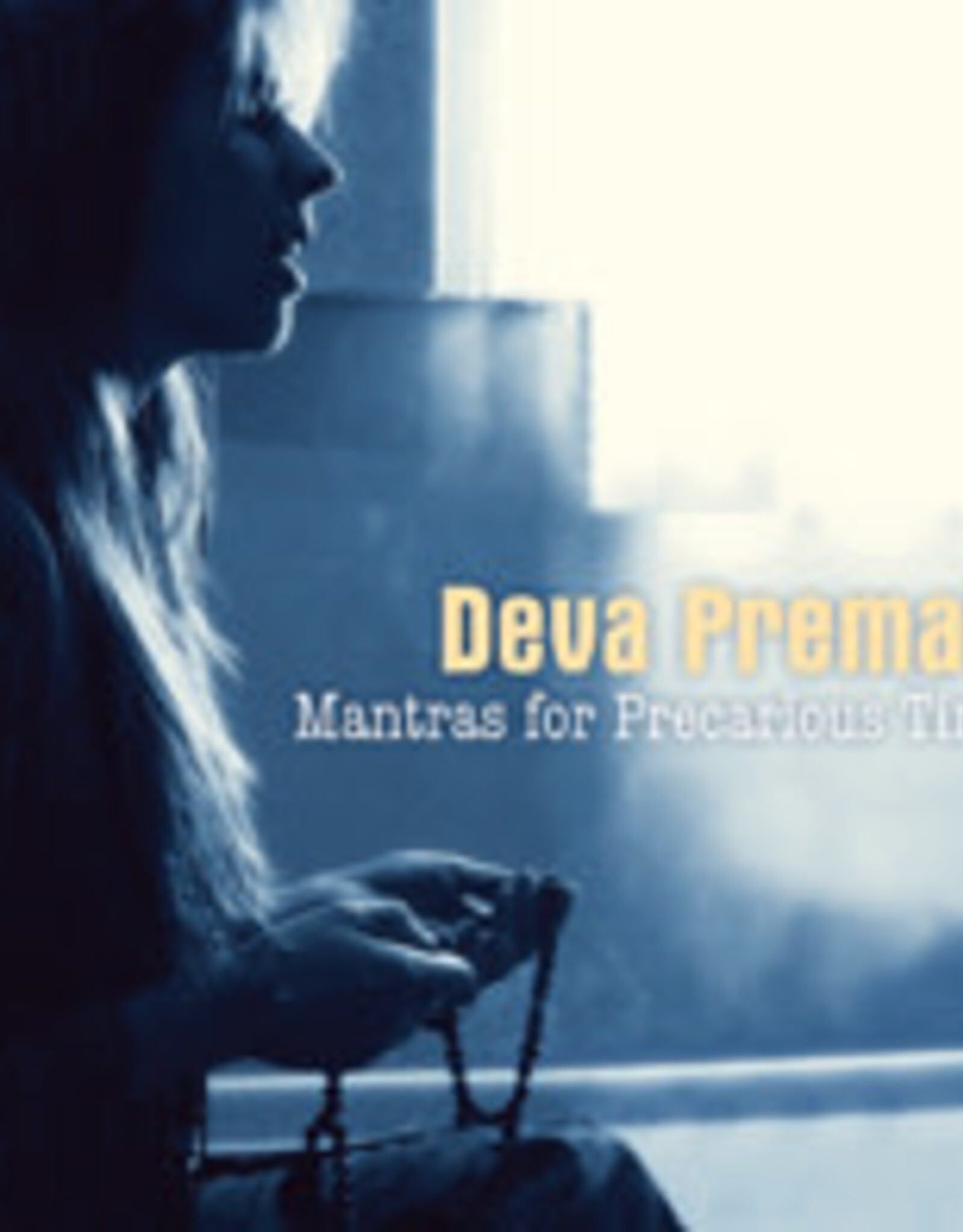 Mantras for Precarious Times CD