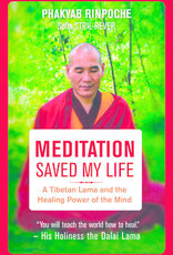 Meditation Saved My Life: A Tibetan Lama and the Healing Power of the Mind Book