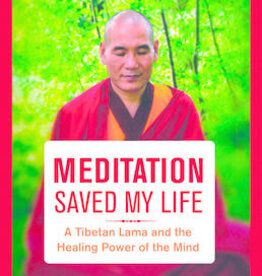 Meditation Saved My Life: A Tibetan Lama and the Healing Power of the Mind Book