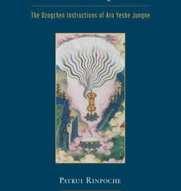 Nature of Mind: Dzogchen Instructions Book