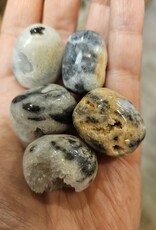 Dendritic Agate Tumbled Stone