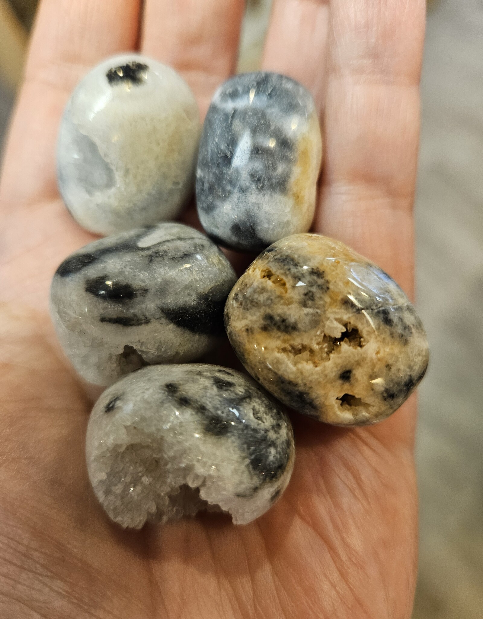 Dendritic Agate Tumbled Stone