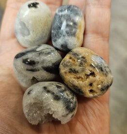 Dendritic Agate Tumbled Stone