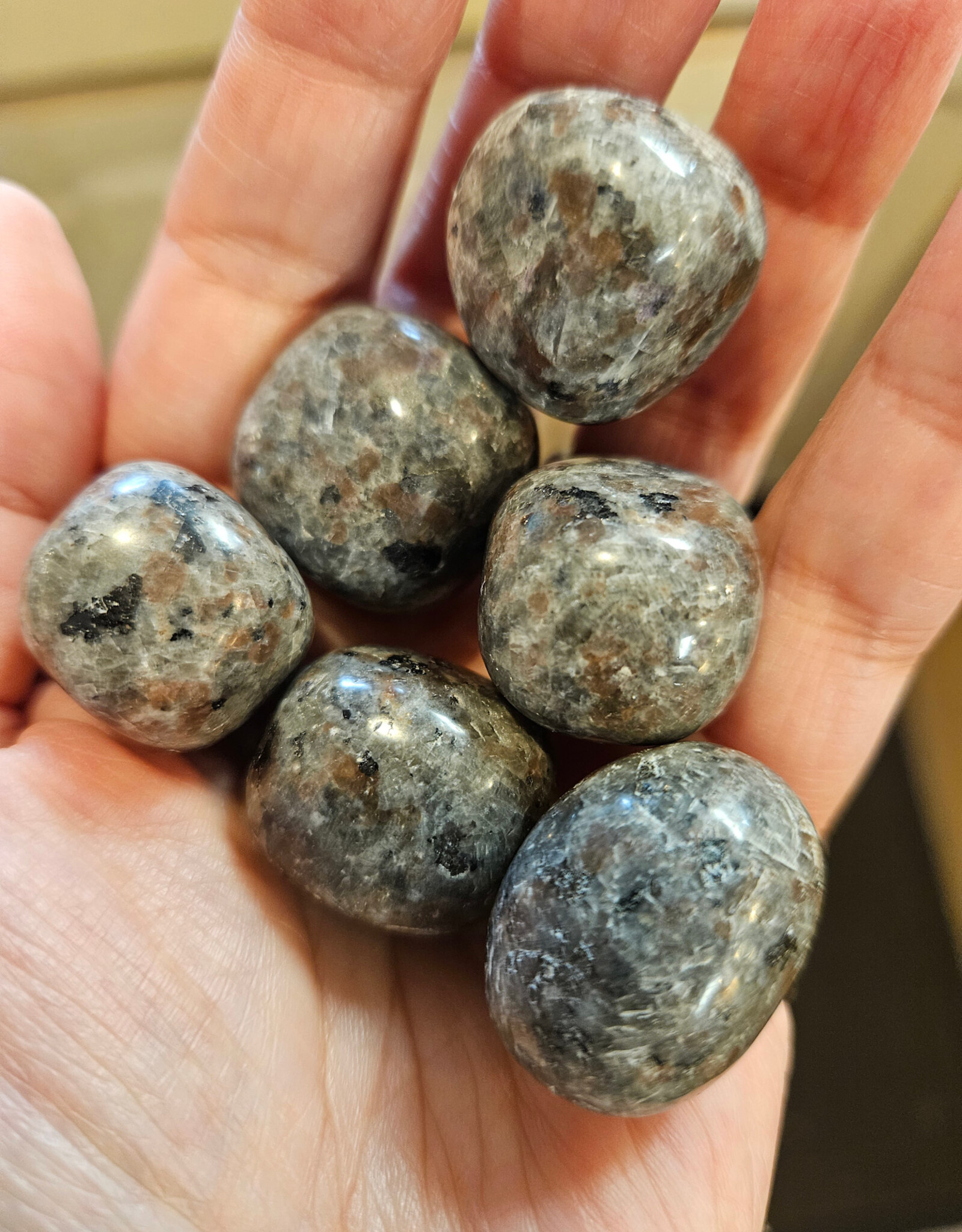 Yooperlite Tumble Stone Larger 15 - 25 mm