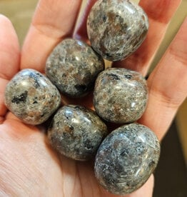 Yooperlite Tumble Stone Larger 15 - 25 mm