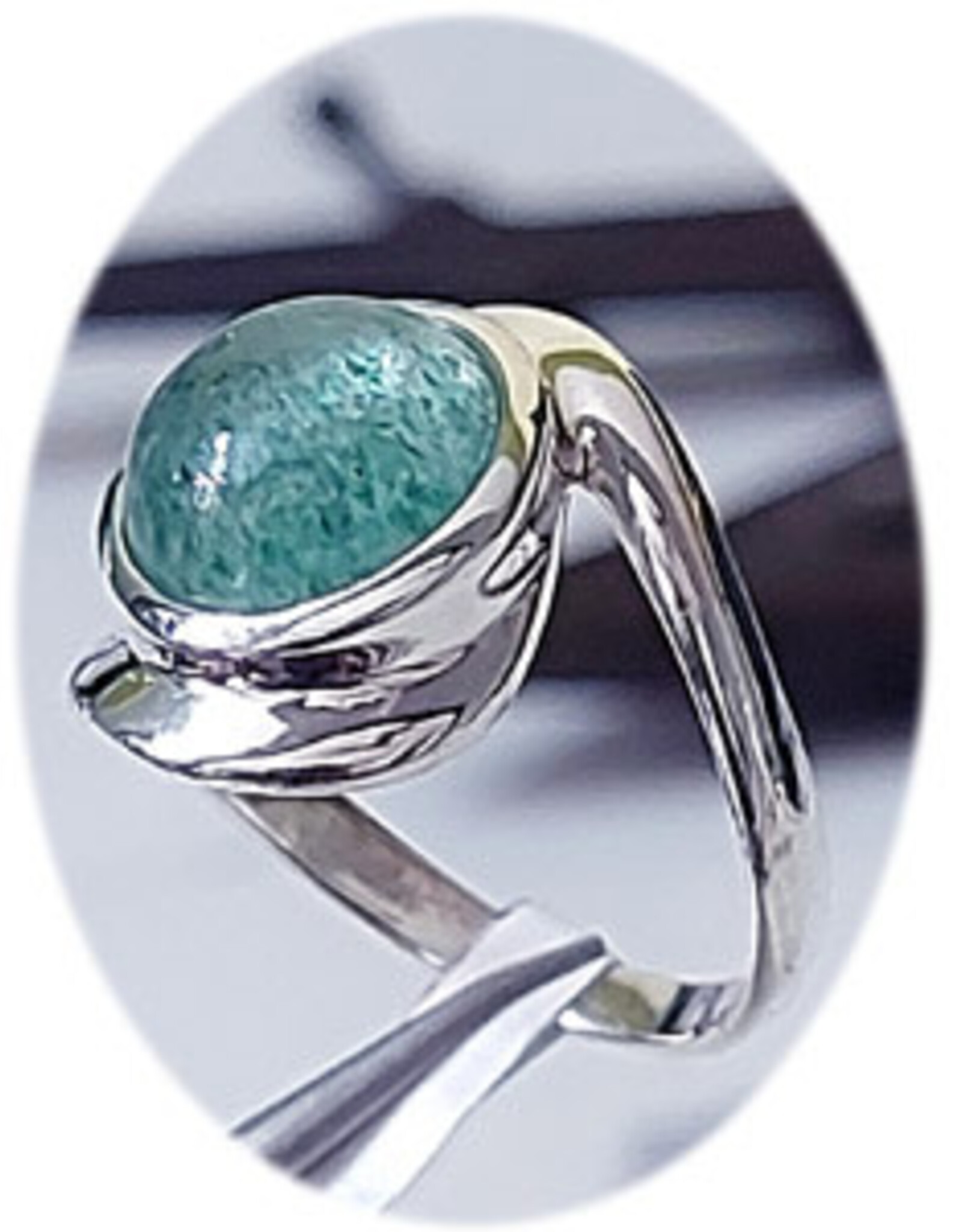 The Endless Life Jade SSilver Ring