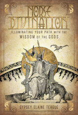 Norse Divination Book