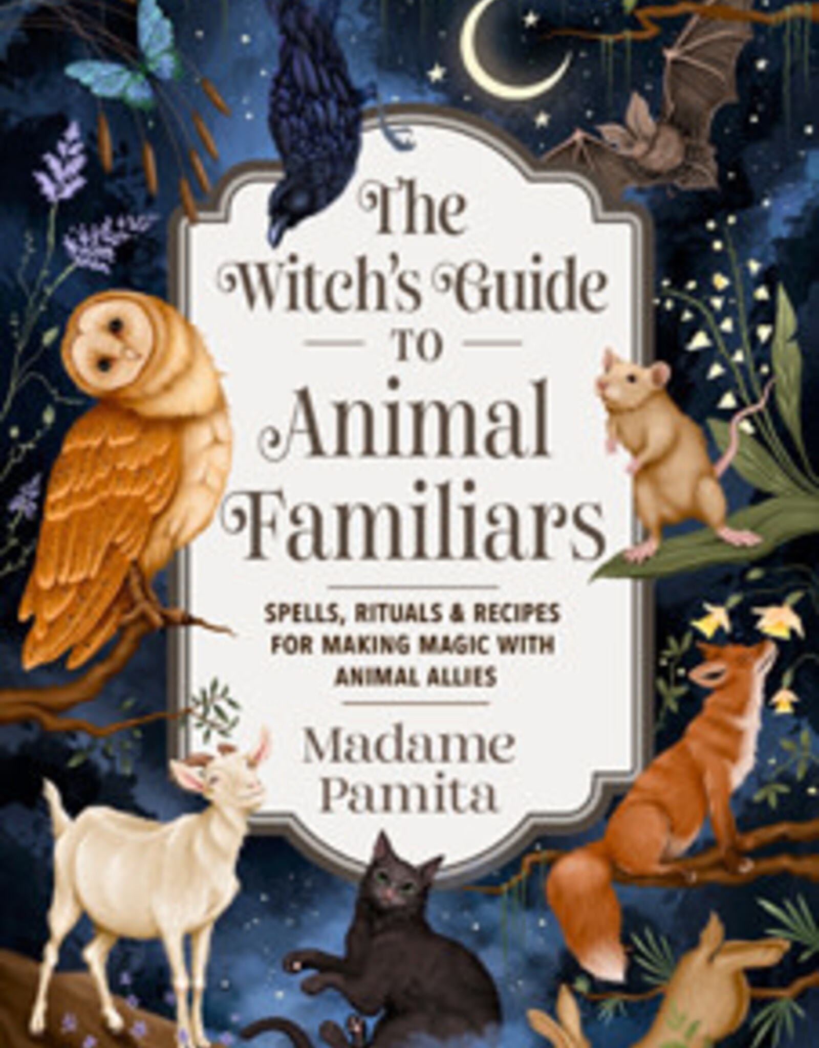 Witch's Guide To Animal Familiars Book