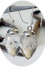 Faceted Pendulum Sterling Silver Earrings