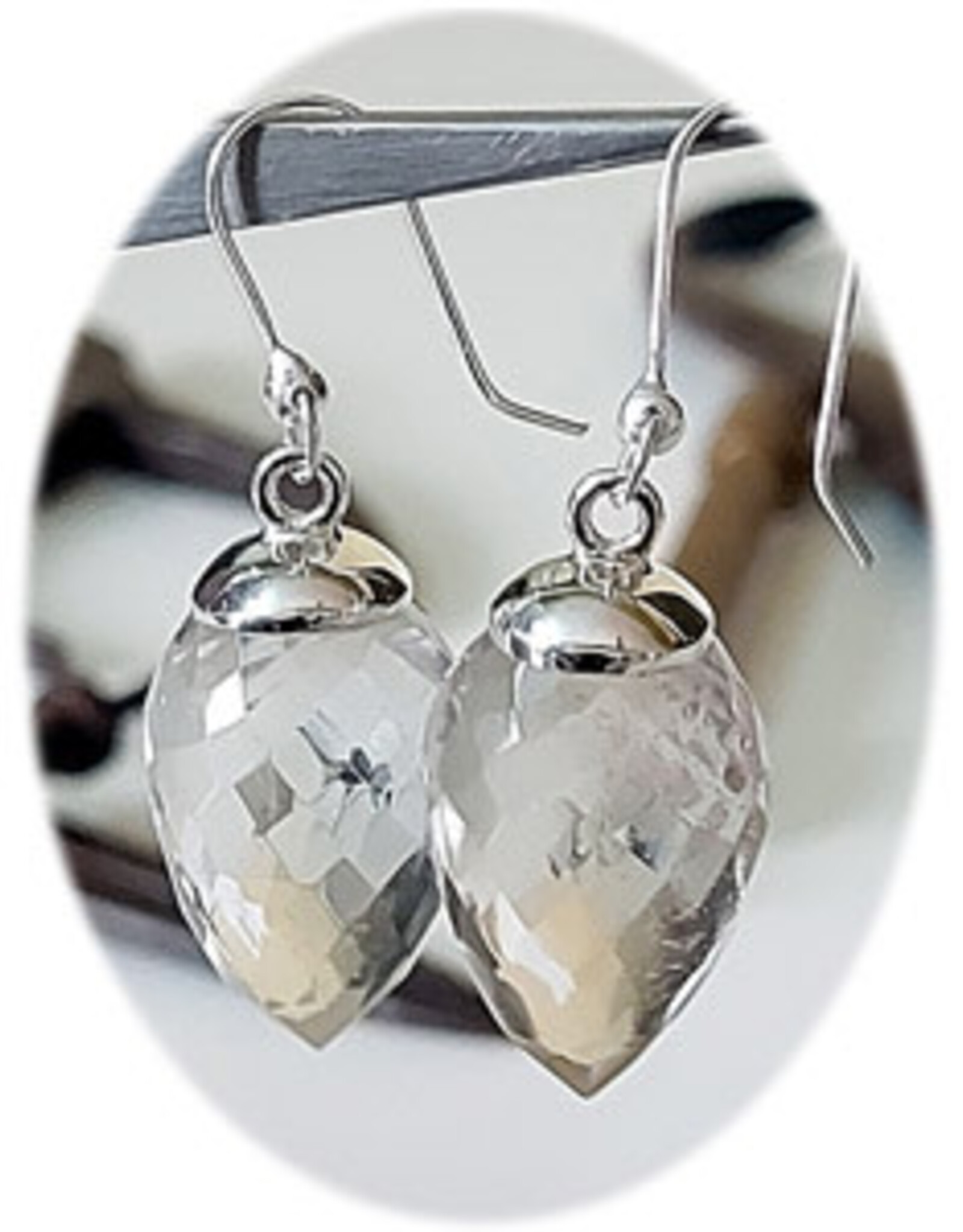 Faceted Pendulum Sterling Silver Earrings