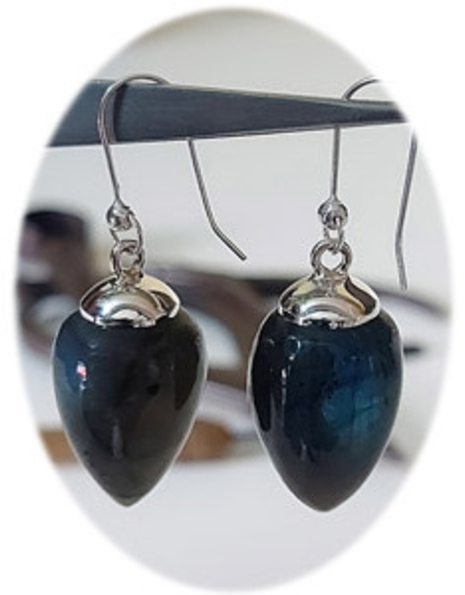 Faceted Pendulum Sterling Silver Earrings