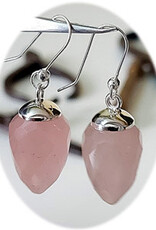 Faceted Pendulum Sterling Silver Earrings