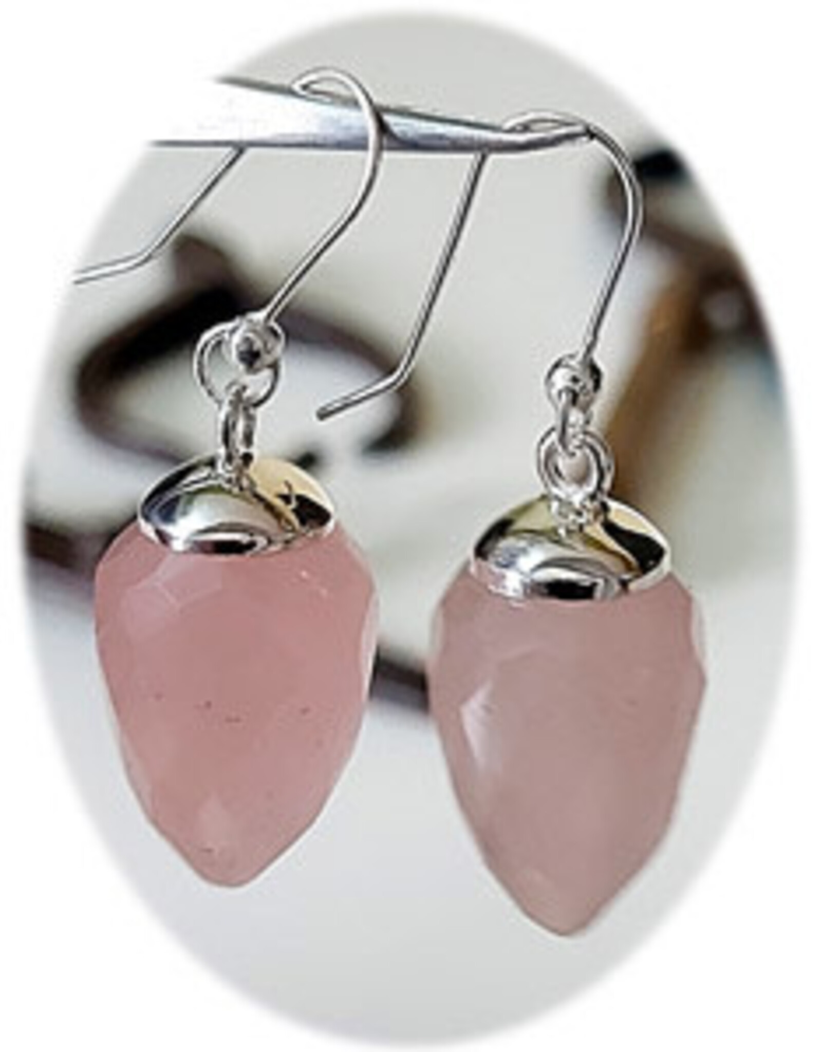 Faceted Pendulum Sterling Silver Earrings