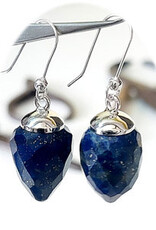 Faceted Pendulum Sterling Silver Earrings