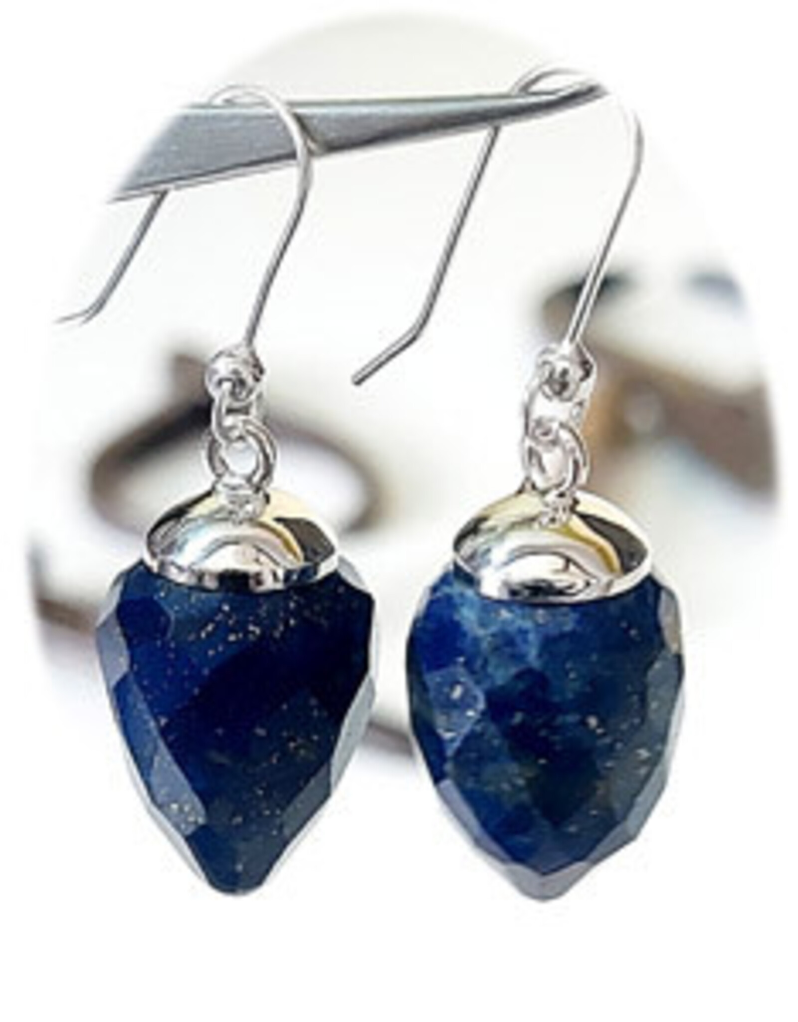 Faceted Pendulum Sterling Silver Earrings