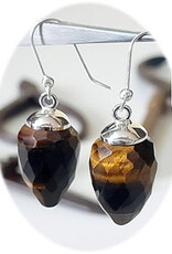 Faceted Pendulum Sterling Silver Earrings