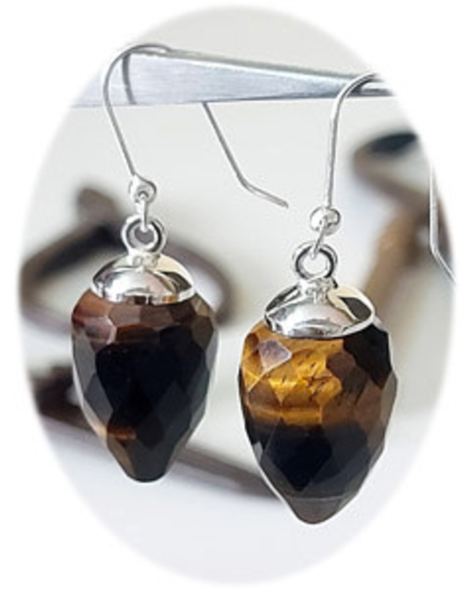 Faceted Pendulum Sterling Silver Earrings